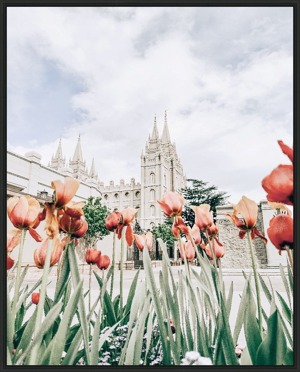 Salt Lake City Utah Serenity