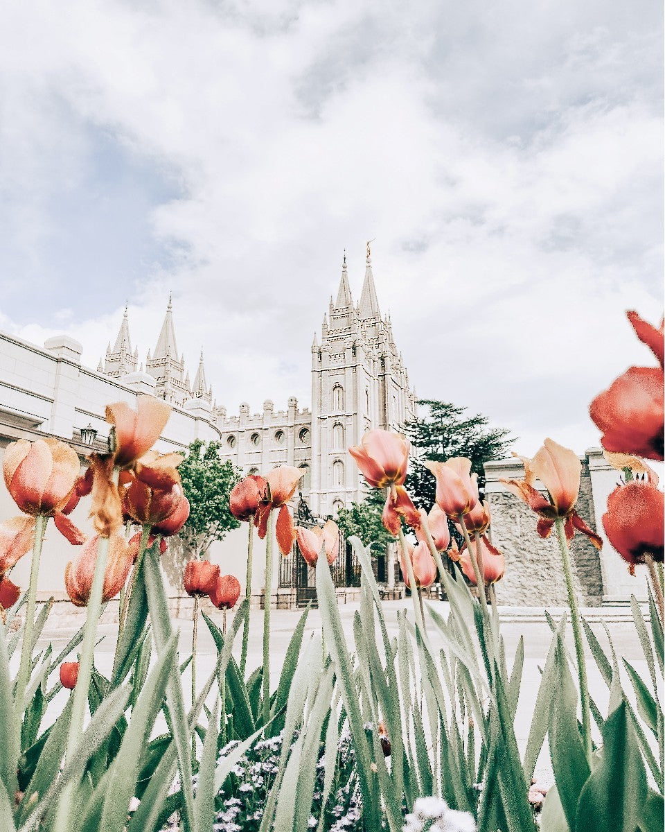 Salt Lake City Utah Serenity