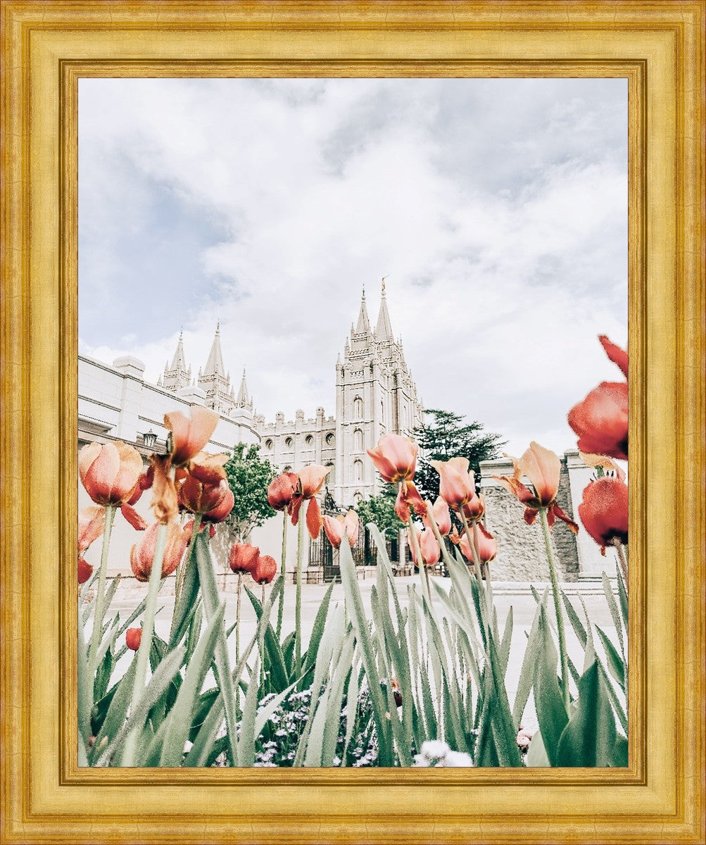 Salt Lake City Utah Serenity