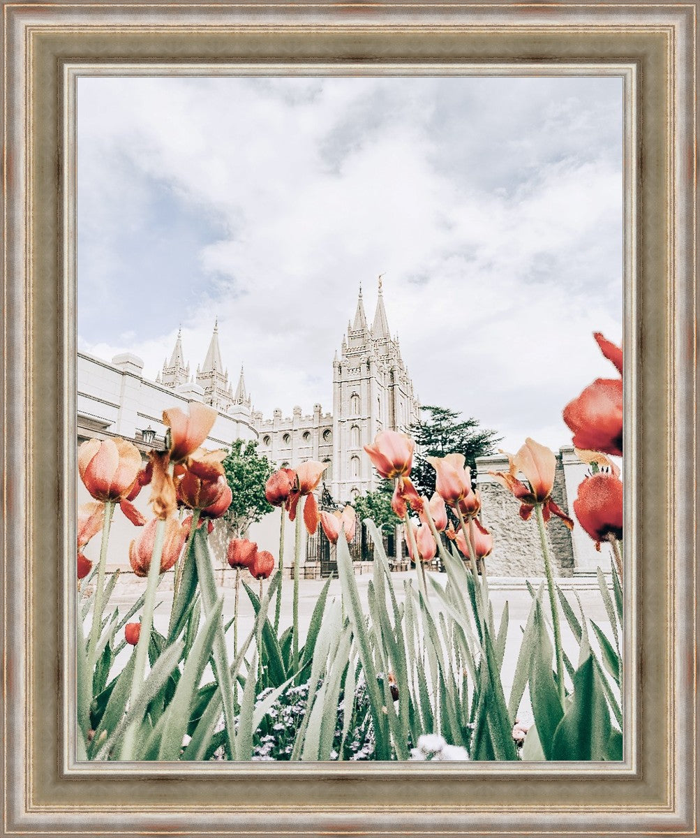 Salt Lake City Utah Serenity