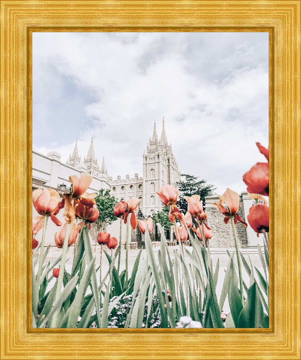 Salt Lake City Utah Serenity