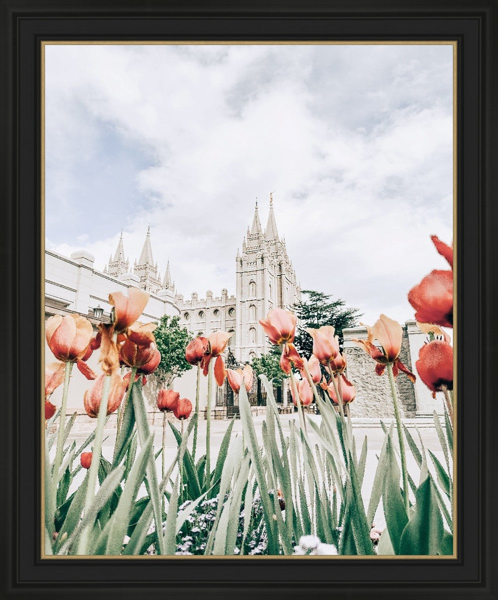 Salt Lake City Utah Serenity
