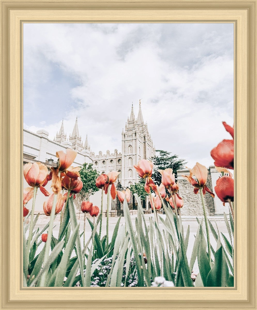 Salt Lake City Utah Serenity