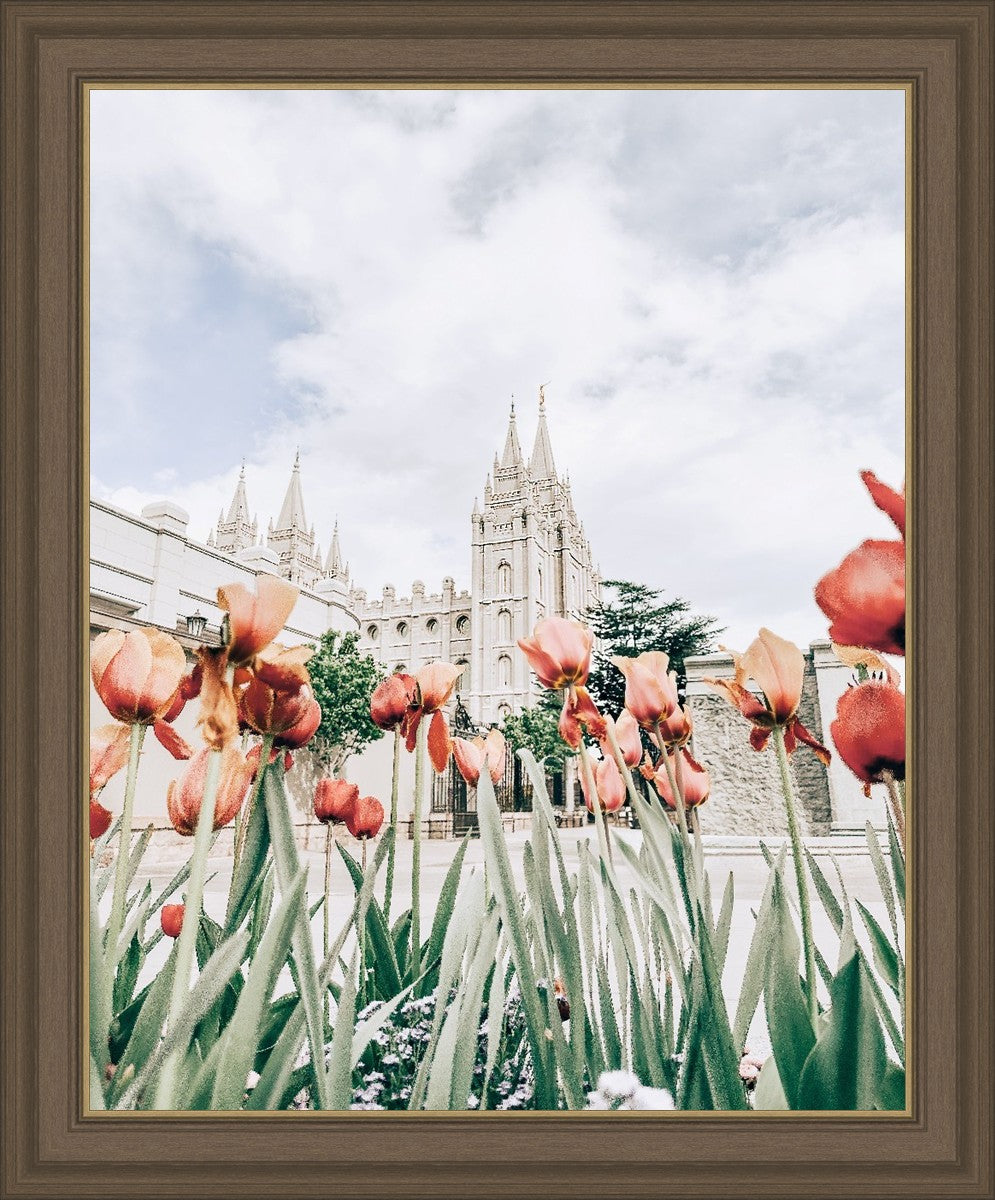 Salt Lake City Utah Serenity