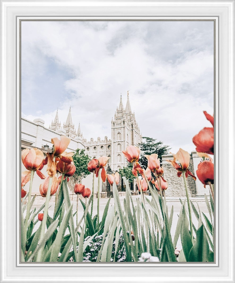 Salt Lake City Utah Serenity