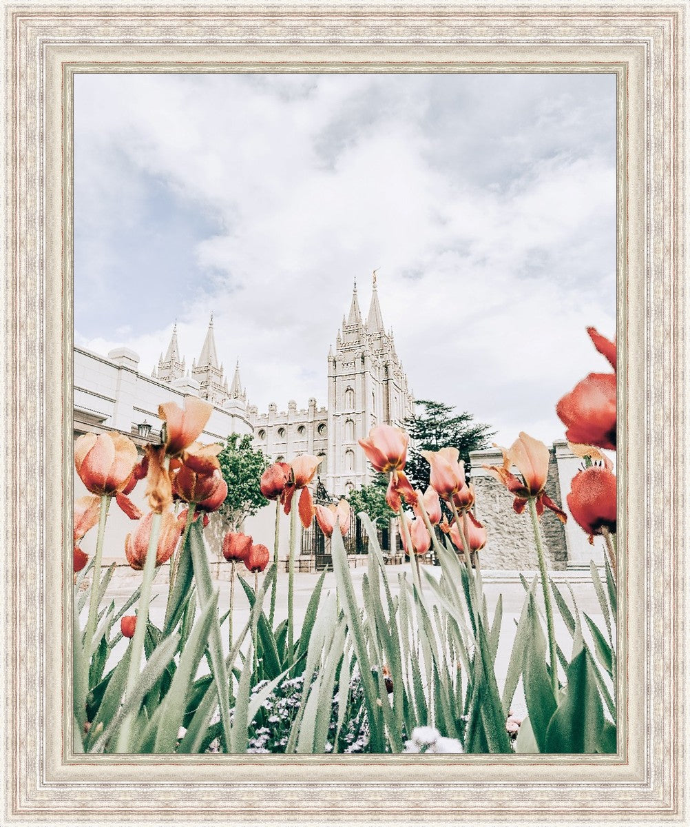 Salt Lake City Utah Serenity