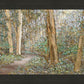 Sacred Grove
