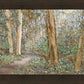 Sacred Grove
