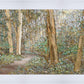 Sacred Grove