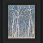 Woodland