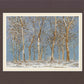 Winter Woods