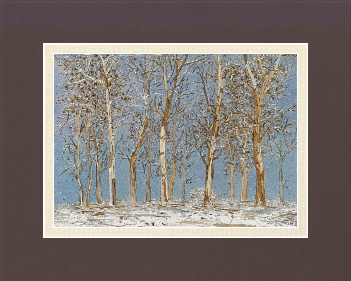 Winter Woods