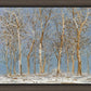 Winter Woods