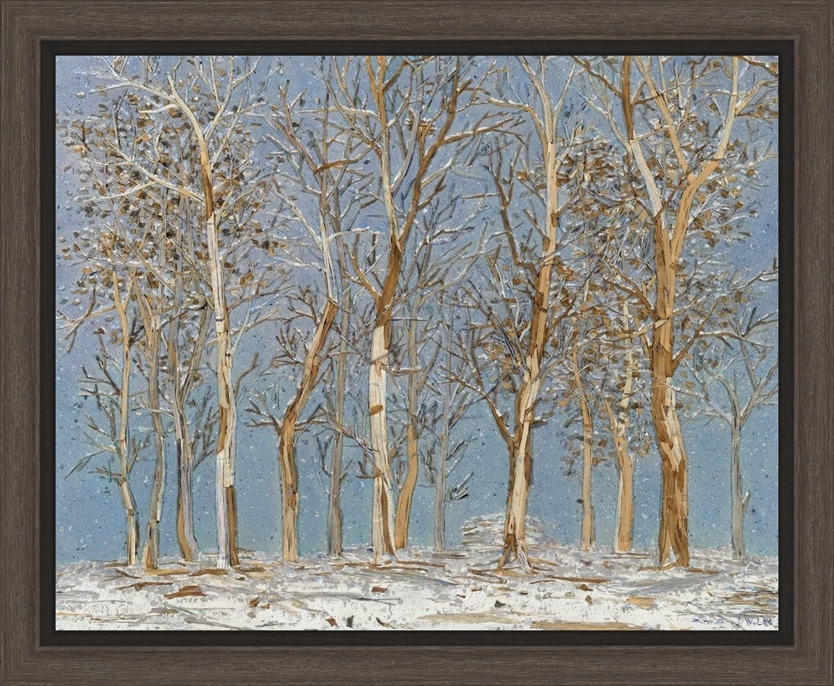Winter Woods