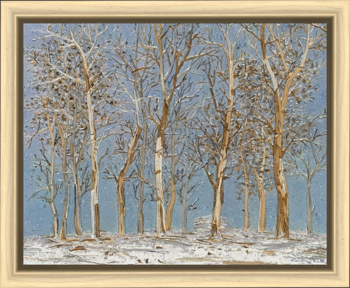 Winter Woods
