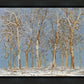 Winter Woods