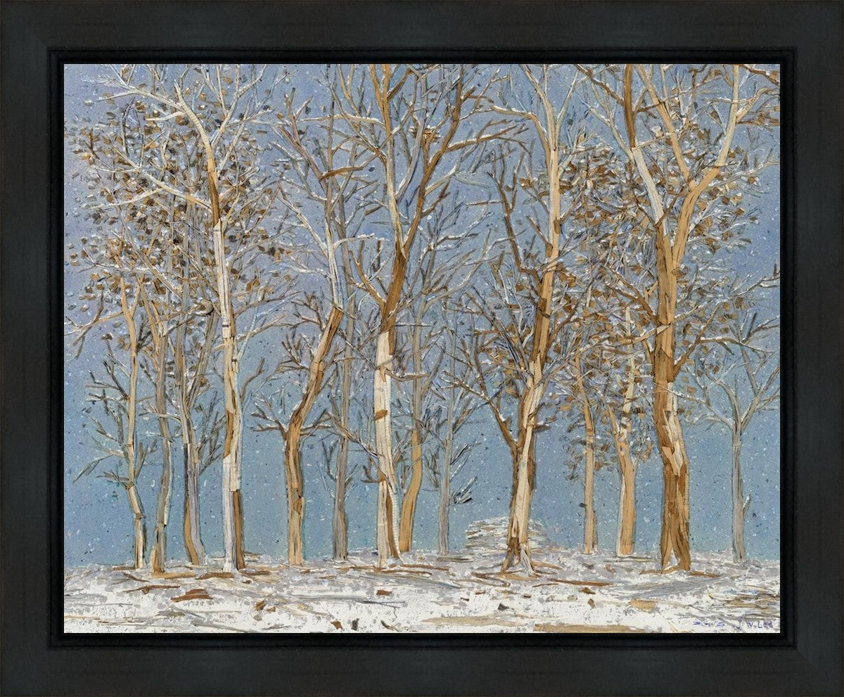 Winter Woods