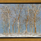 Winter Woods