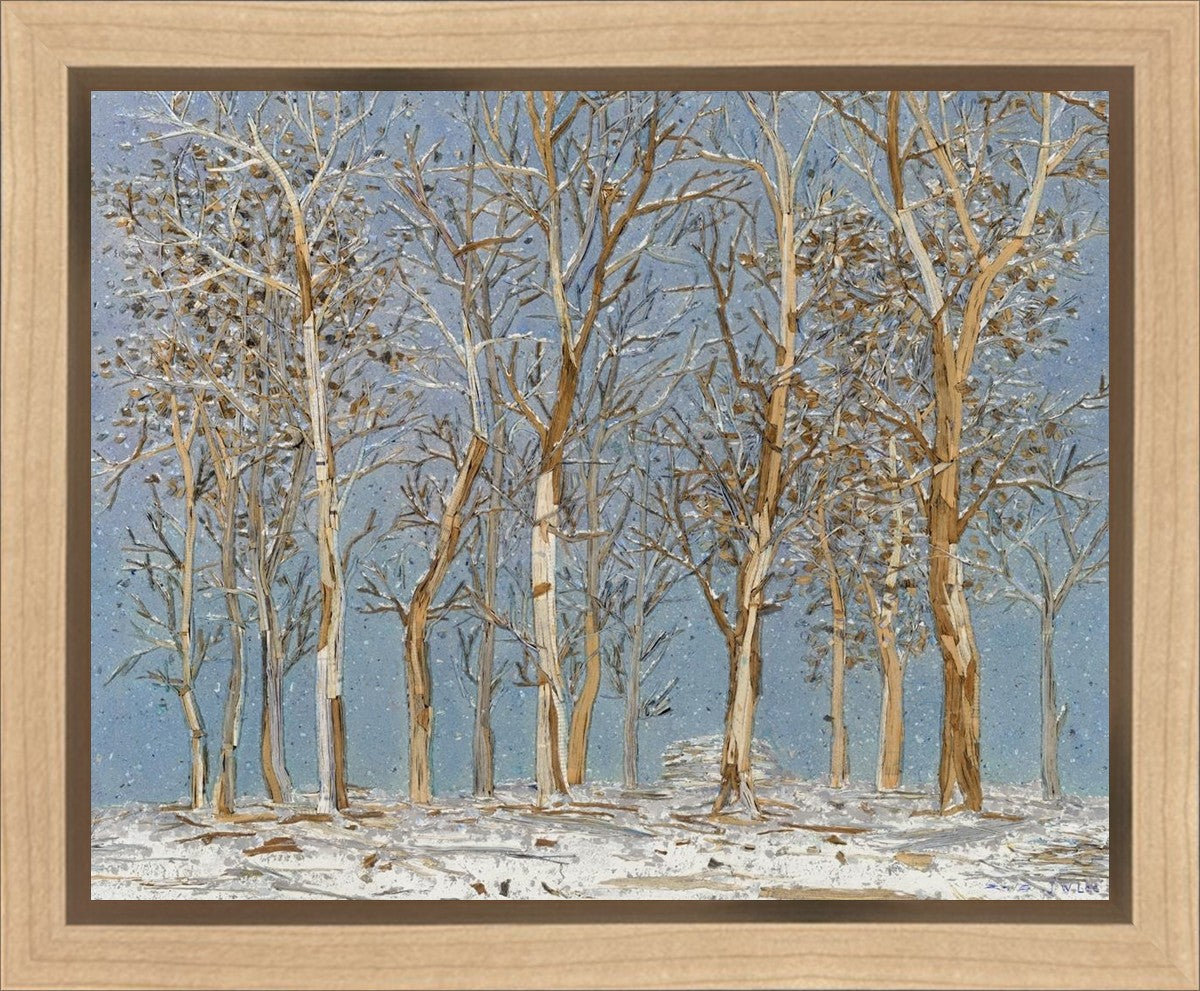 Winter Woods