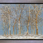 Winter Woods