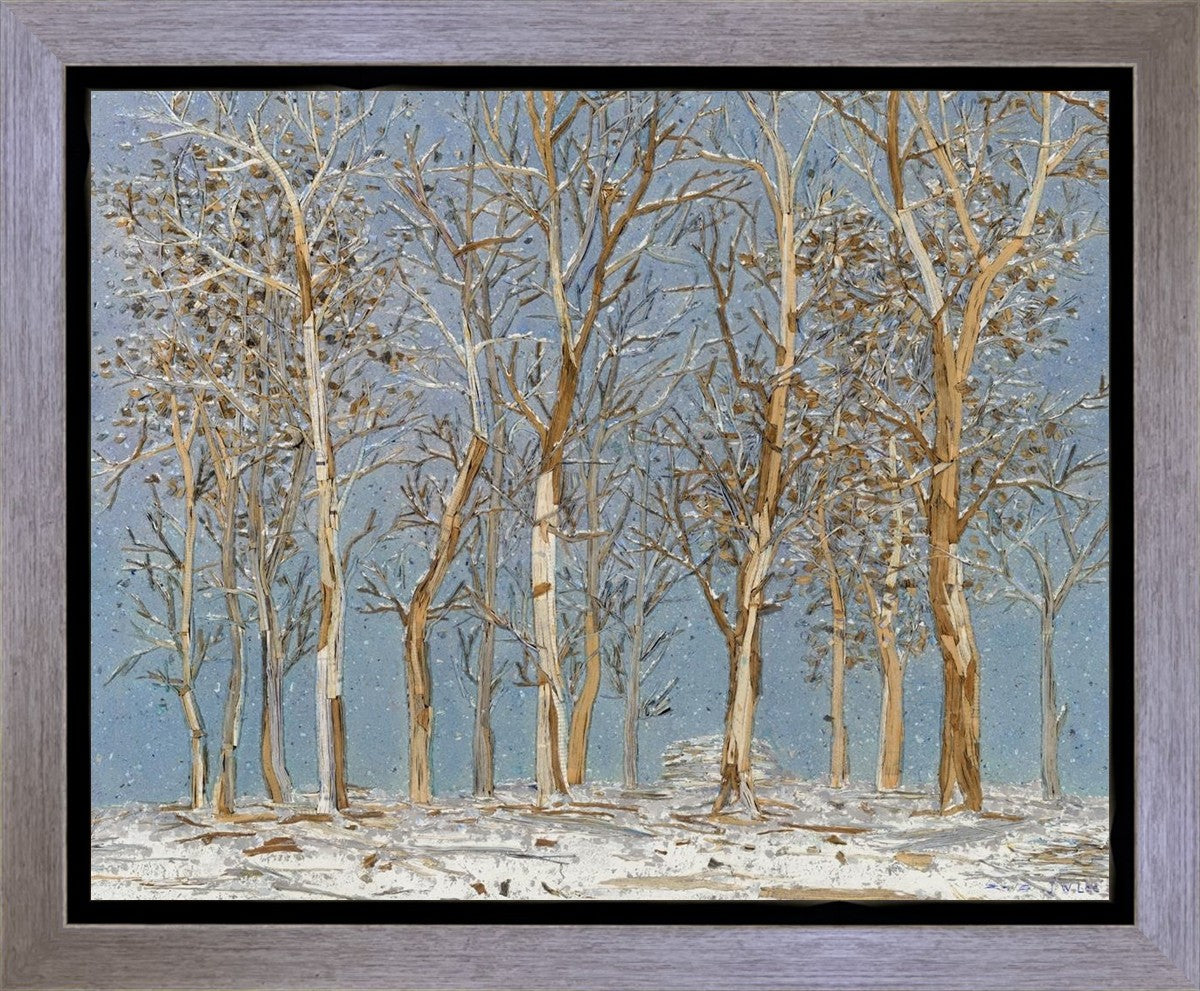 Winter Woods