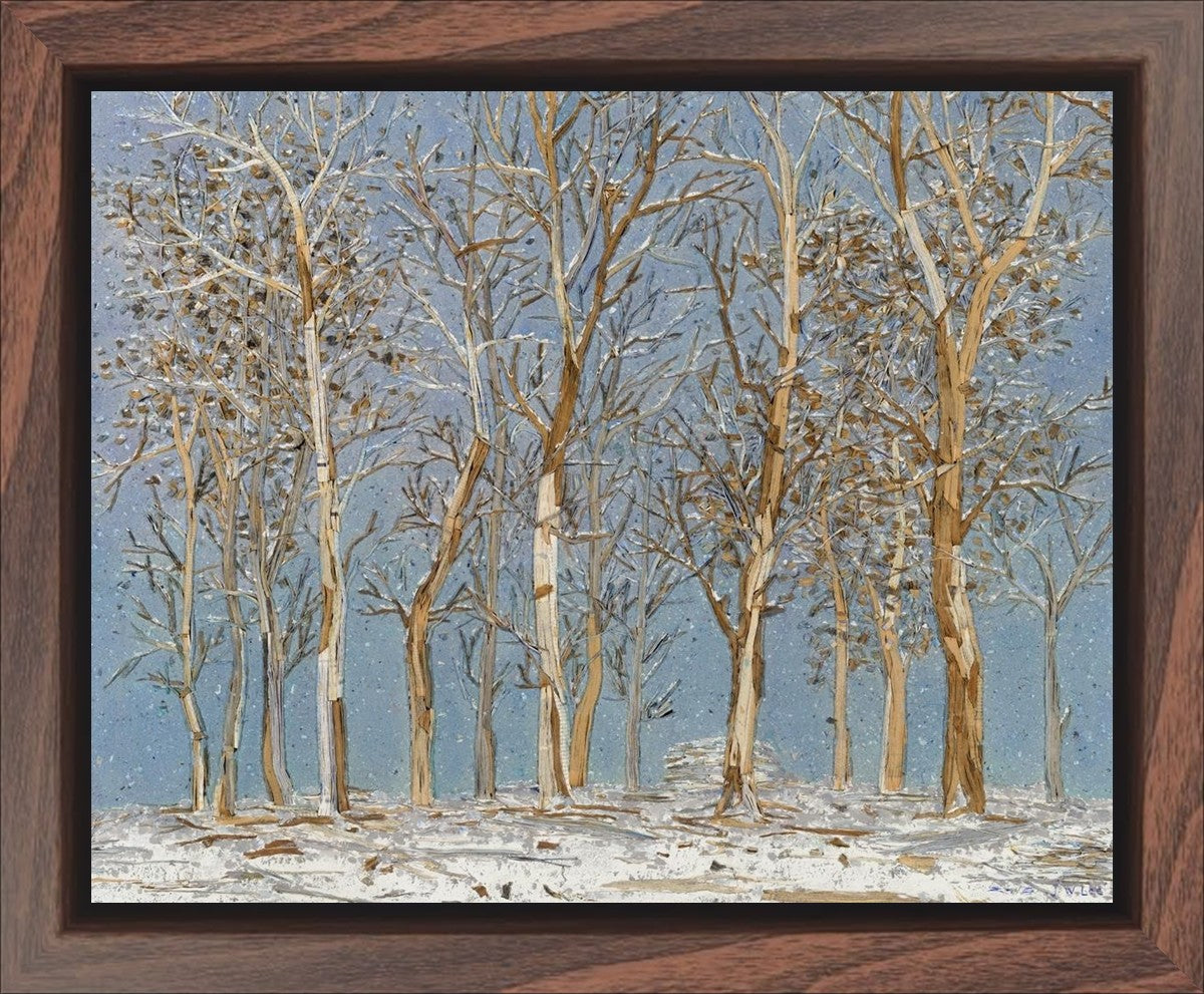 Winter Woods