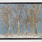 Winter Woods