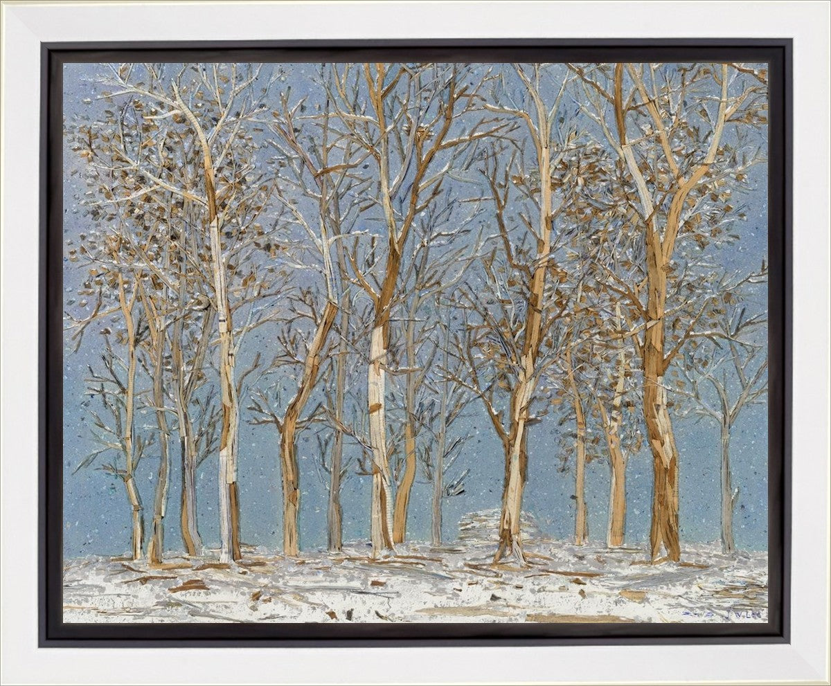 Winter Woods