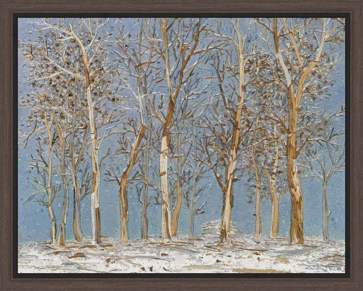 Winter Woods