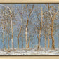 Winter Woods