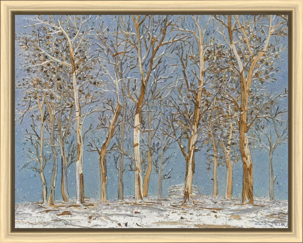 Winter Woods