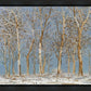 Winter Woods