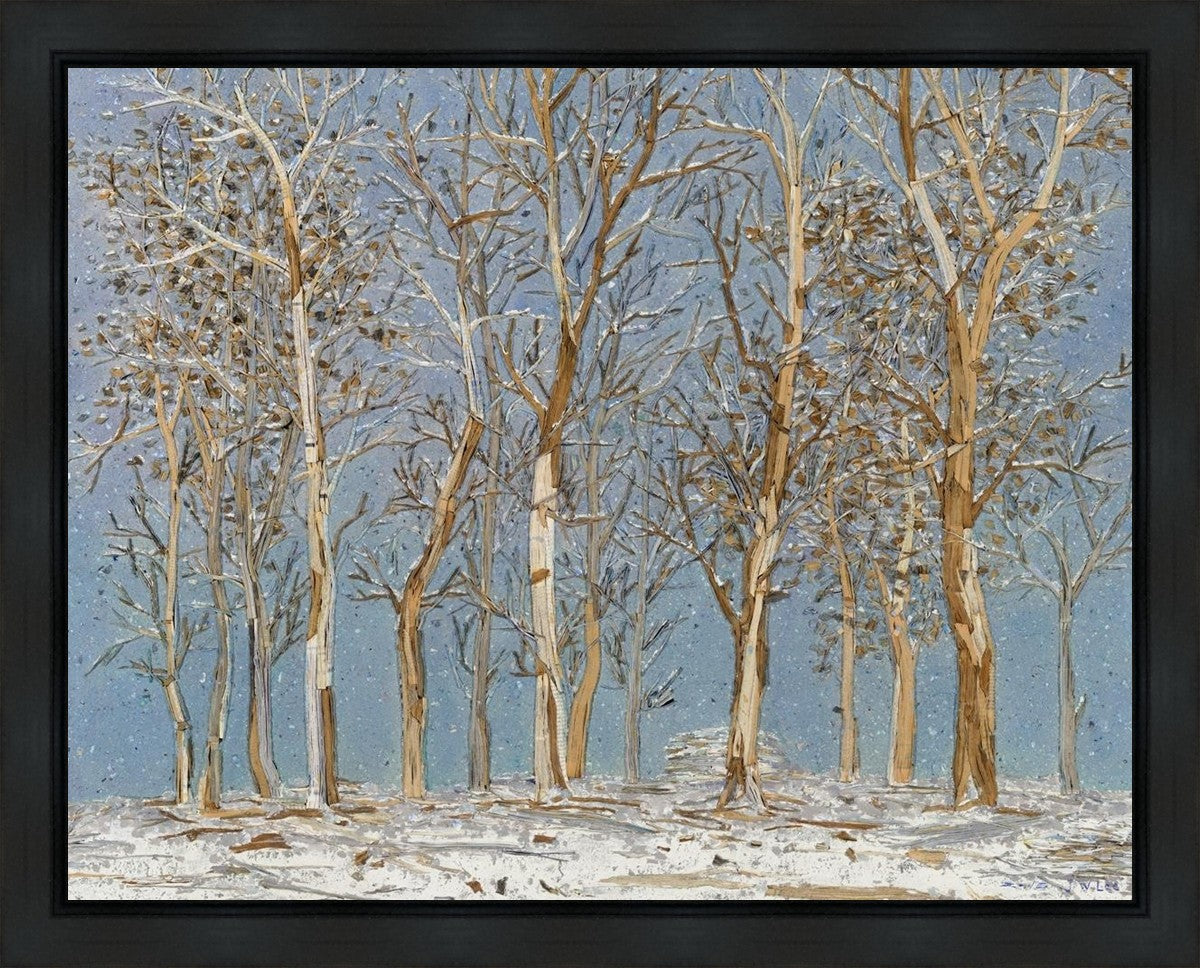 Winter Woods