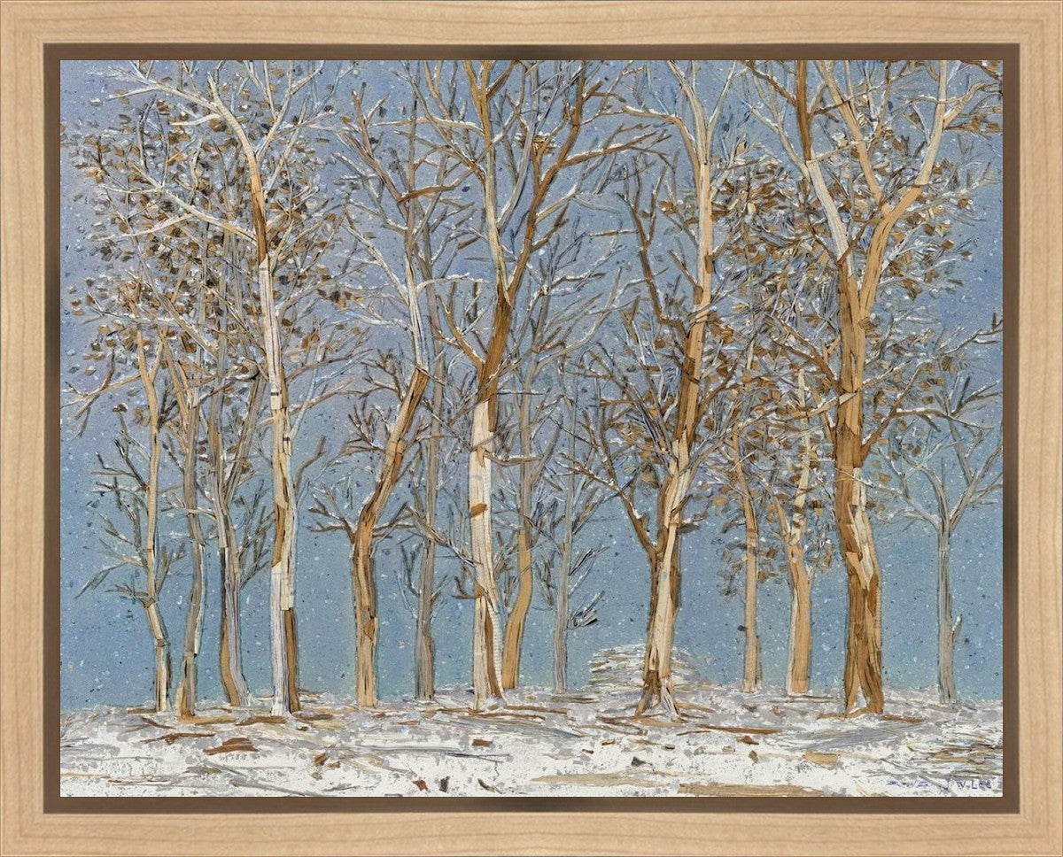 Winter Woods