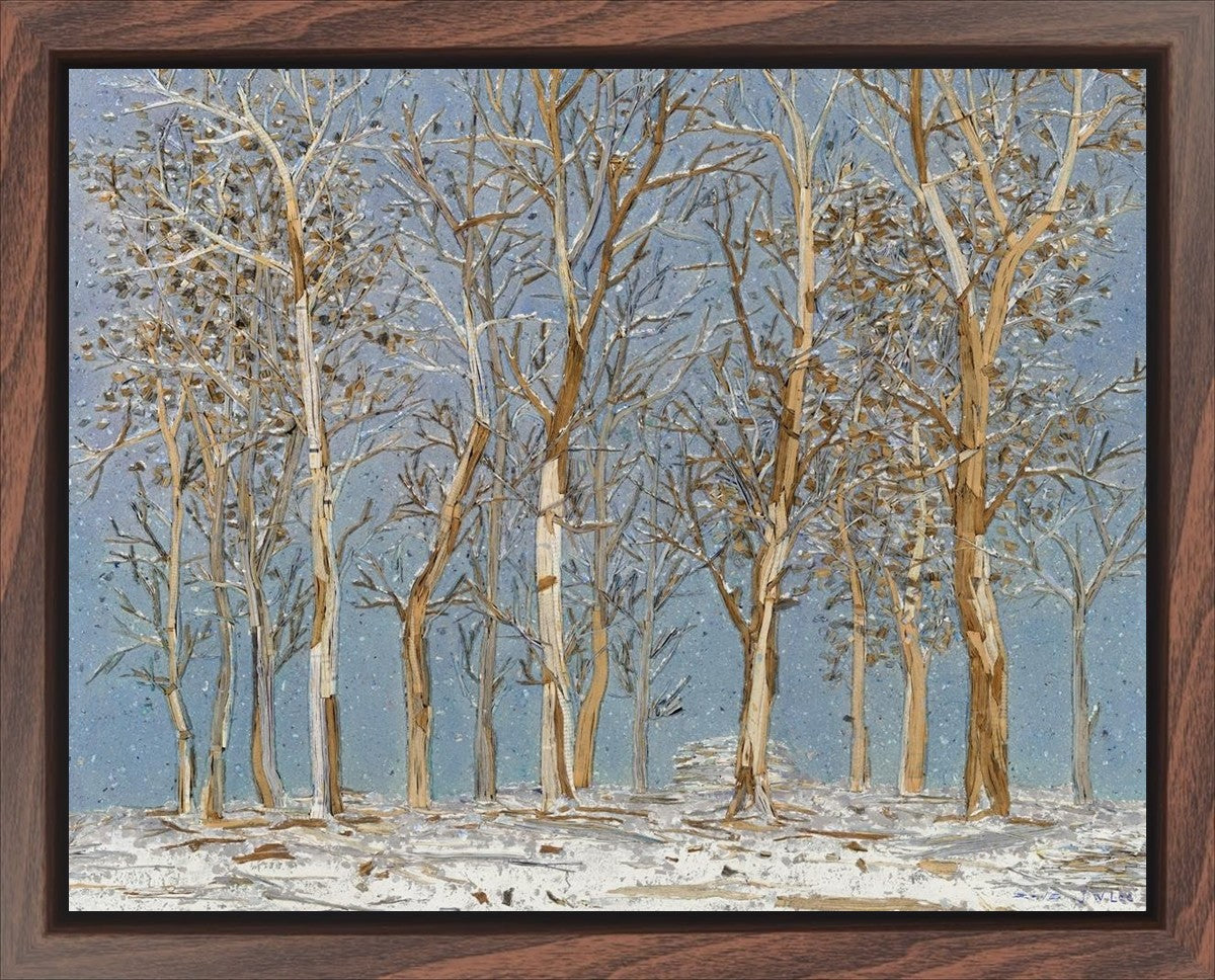 Winter Woods