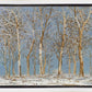 Winter Woods