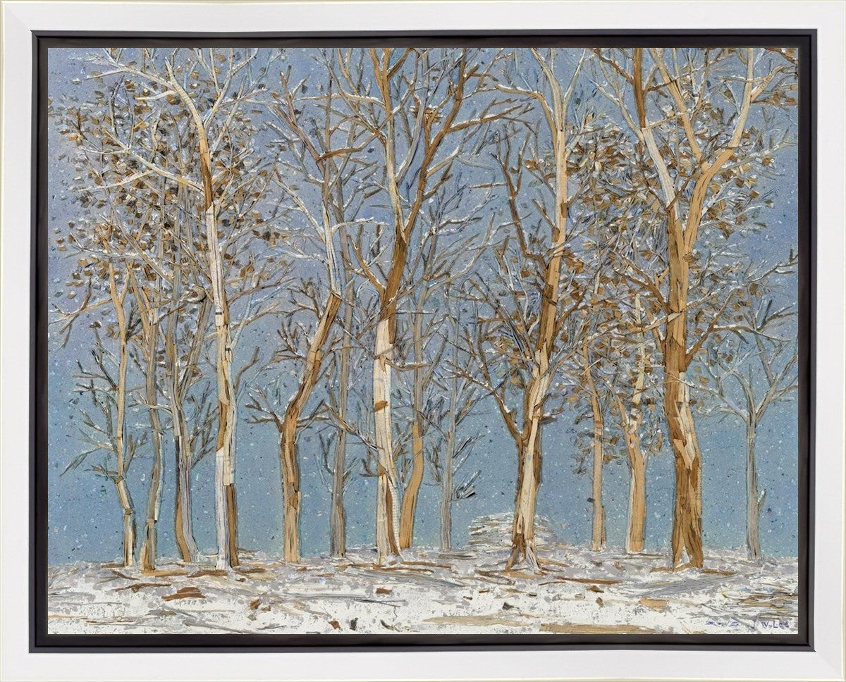 Winter Woods