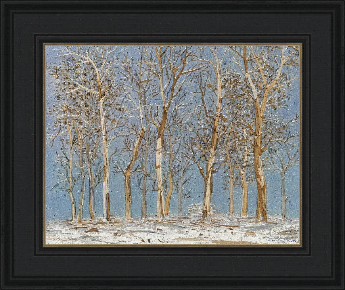 Winter Woods