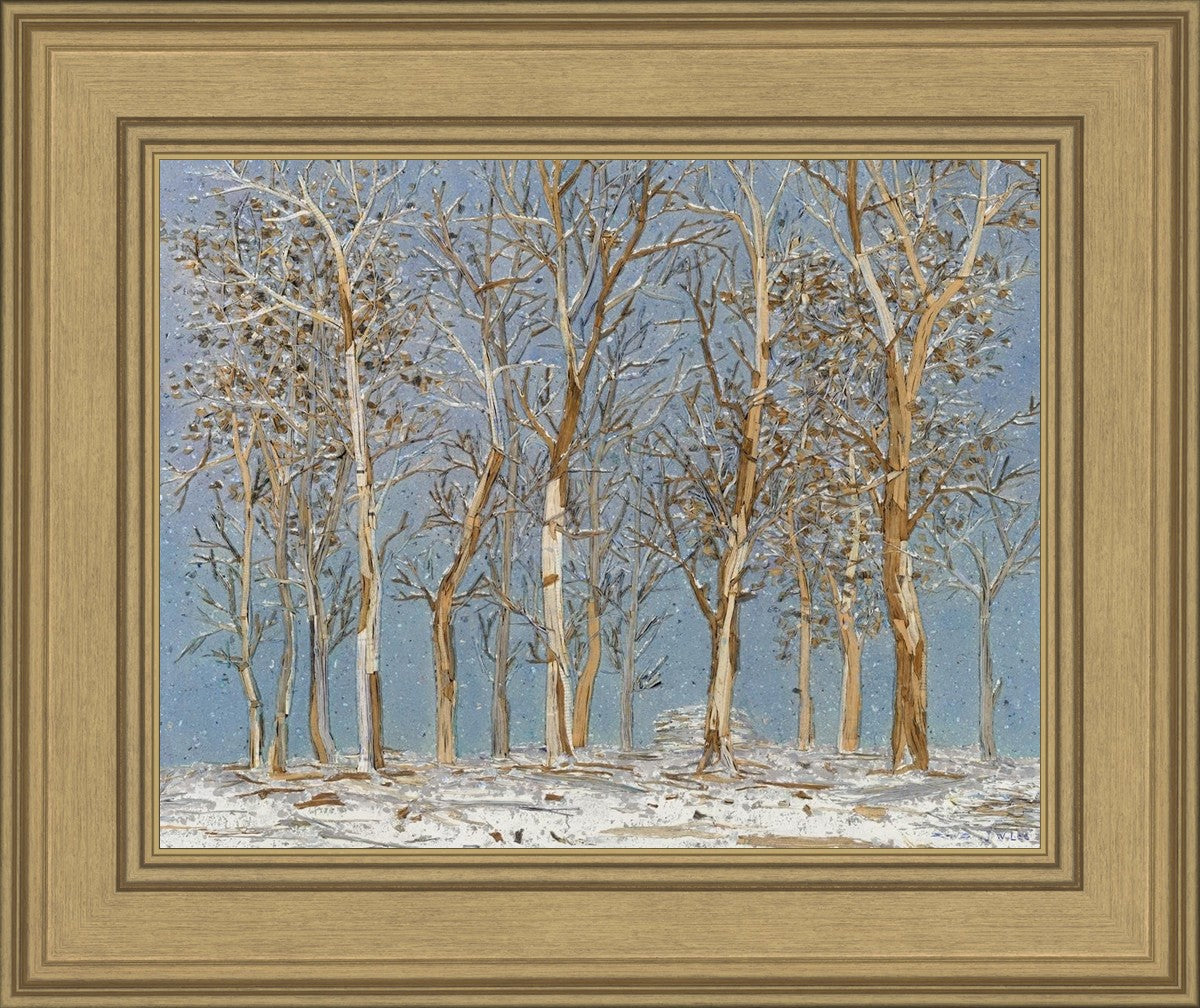 Winter Woods