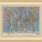 Winter Woods