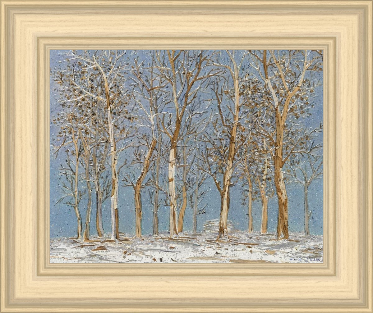Winter Woods