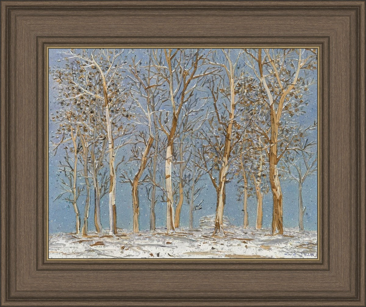 Winter Woods
