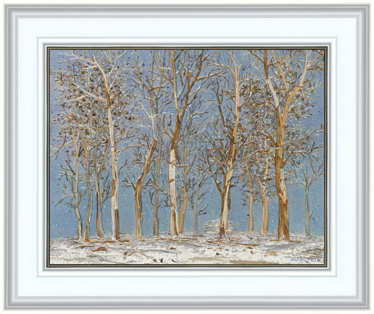 Winter Woods