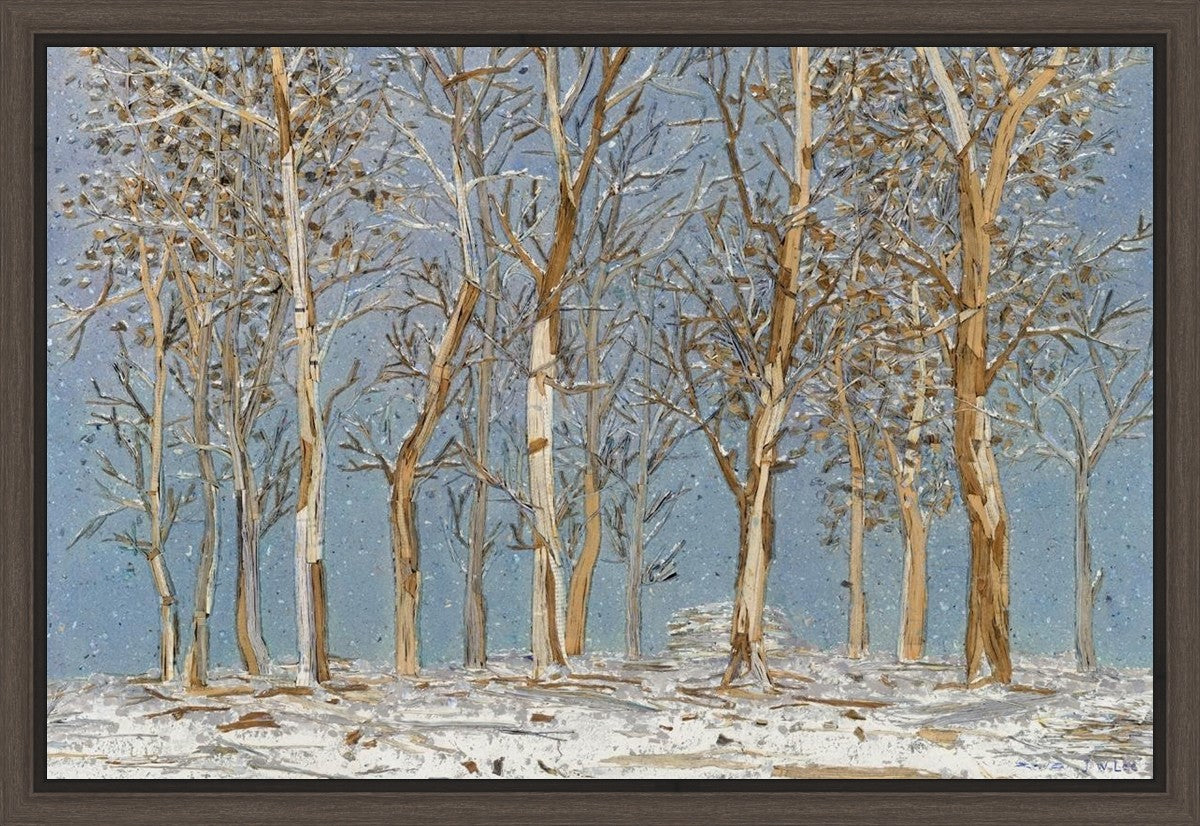 Winter Woods