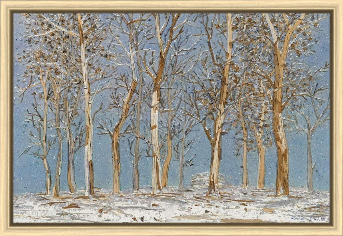 Winter Woods