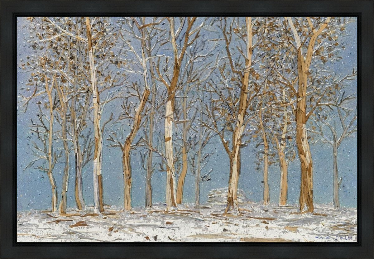 Winter Woods