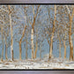 Winter Woods