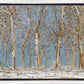 Winter Woods