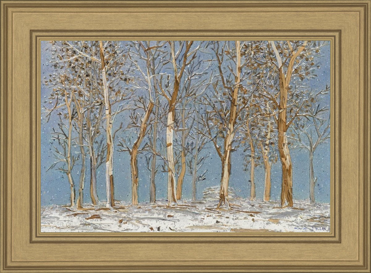 Winter Woods