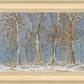 Winter Woods